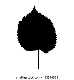 birch tree leaf silhouette on white background