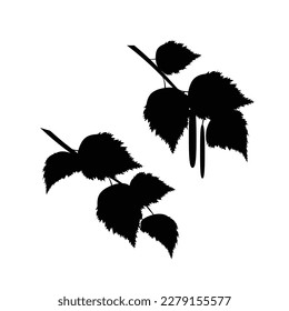 Birch tree. Leaves, a branch. Black silhouette. Set