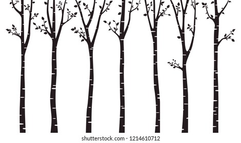 Birch tree silhouette