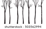 Birch Tree Silhouette Background