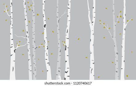 Birch Tree Silhouette Vector Art, Icons, And Graphics For Free Download