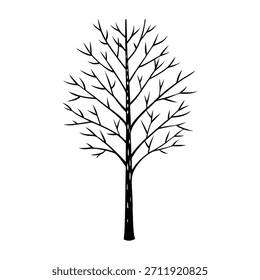 Birke Baum Silhouette schönen Vektor