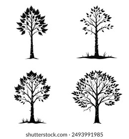 Birch tree silhouette isolated vector 