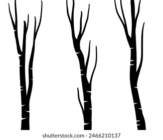 Birch tree silhouette trunk branch hand drawn doodle vector for forest woodland background.