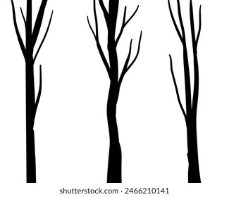 Birch tree silhouette trunk branch hand drawn doodle vector for forest woodland background.