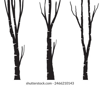 Birch tree silhouette trunk branch hand drawn doodle vector for forest woodland background.