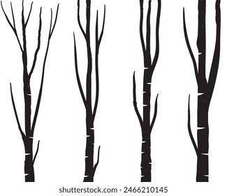 Birch tree silhouette trunk branch hand drawn doodle vector for forest woodland background.