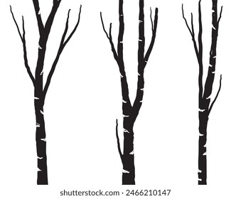 Birch tree silhouette trunk branch hand drawn doodle vector for forest woodland background.