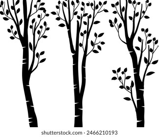 Birch tree silhouette trunk branch with leaves hand drawn doodle vector for forest woodland background.