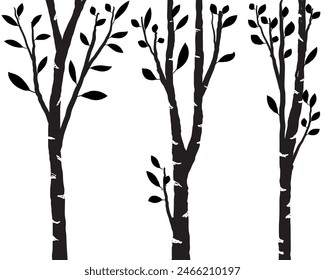 Birch tree silhouette trunk branch with leaves hand drawn doodle vector for forest woodland background.
