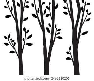 Birch tree silhouette trunk branch with leaves hand drawn doodle vector for forest woodland background.