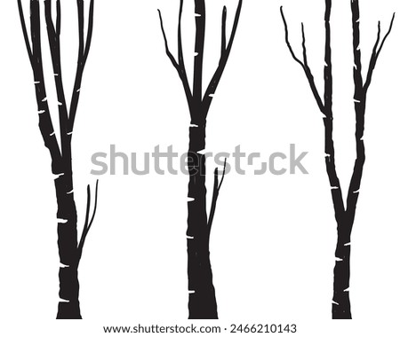 Similar – Image, Stock Photo Birch trunks forest