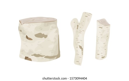 Birch tree stumps and logs vector illustrations set. Trunk parts with white bark top and side view. Felled wood, industrial stuff, building material. Firewood isolated on white background.