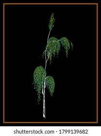 Birch tree in traditional russian folklore style palekh painting. Vector illustration