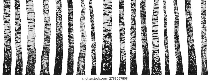 Birch tree trunks. Deciduous forest. Set of vector illustrations