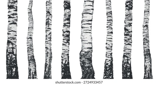 Troncos de abedul que muestran textura natural y patrones contrastantes en blanco y negro. Ilustración vectorial