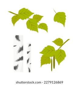 Birch tree. Vector set of leaves, trunk.