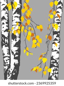 
Birch trees in autumn.Vector background (card, panel).  Nature  illustration.