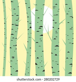 Birch trees background for you design