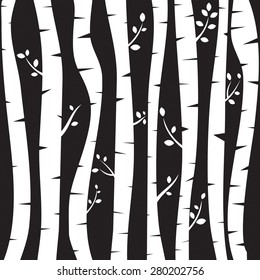 Birch trees background for you  design