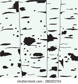 Birch trees background for you design