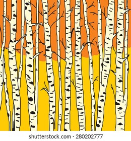 Birch trees background for you design