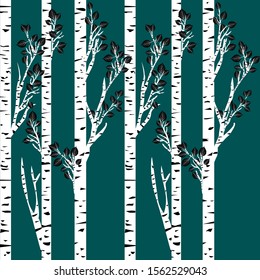 Birch trees with leaves background