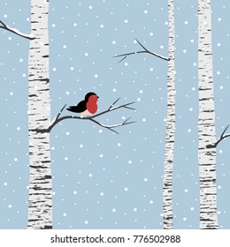 Birch trees on winter background. Vector illustration.