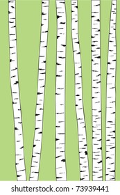 birch trunk trees background