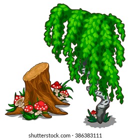 Birch with weeping crown. Stump with mushrooms. Vector illustration.