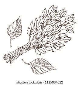 Birch whisks for the sauna, for Russian bath for body hygiene. Set of accessories for bath, sauna. Hand drawing in sketch style. Isolated object on white background.