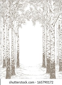 Birch wood, hand drawn illustration in vintage style with free space for your text.