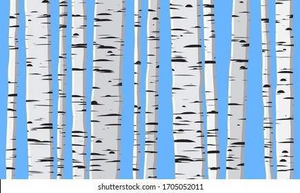 birch wood trees over blue background. Birch Trunk pattern landscape for winter design. Autumn, fall and summer graphic color wallpaper 