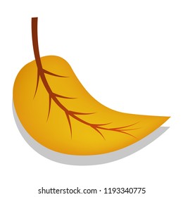 Birch yellow leaf icon. Realistic illustration of birch yellow leaf vector icon for web design isolated on white background