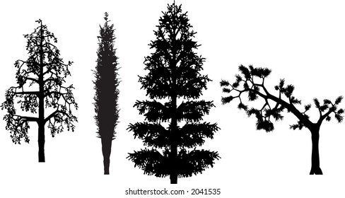 Birch,cypress,fir and pine trees in silhouette.