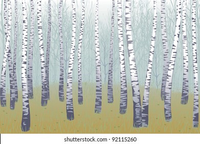 Birches