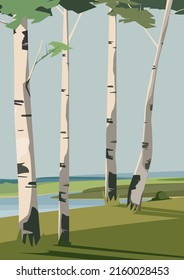 Birches on river bank. Beautiful nature landscape.