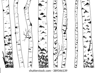 Birches repeated border. Hand drawn vector trees silhouettes.
