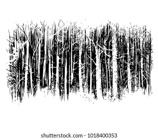 birchwood, vector, black-and-white computer graphics, drawing a feather, a picturesque sketch, EPS, a background for wall-paper both for printing and on fabric