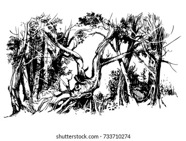 birchwood, vector, black-and-white computer graphics, drawing a feather, a picturesque sketch, EPS, a background for wall-paper both for printing and on fabric
