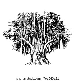 birchwood, vector, black-and-white computer graphics, drawing a feather, a picturesque sketch, EPS, a background for wall-paper both for printing and on fabric