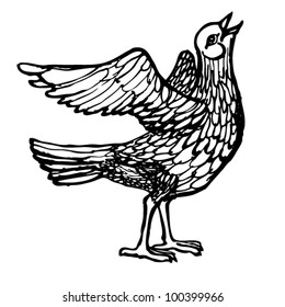 bird
