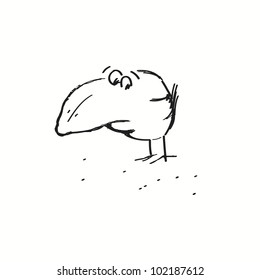 Bird