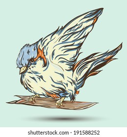 Bird