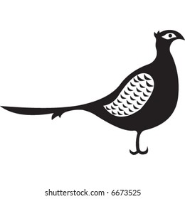 bird
