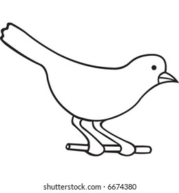 bird