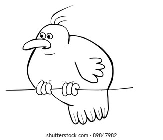 Bird
