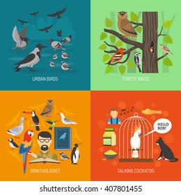 Bird 2x2 images concept presenting urban and forest bird ornithologist and talking cockatoo flat vector illustration 