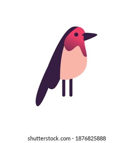 bird abstract icon design, Animal feather predator wildlife fight beak natural and latin america theme Vector illustration