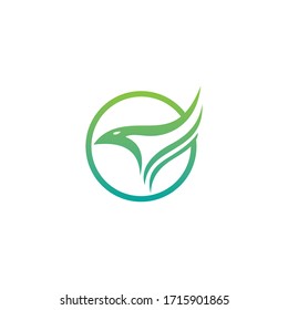 Bird Abstract Logo design vector design EPS10